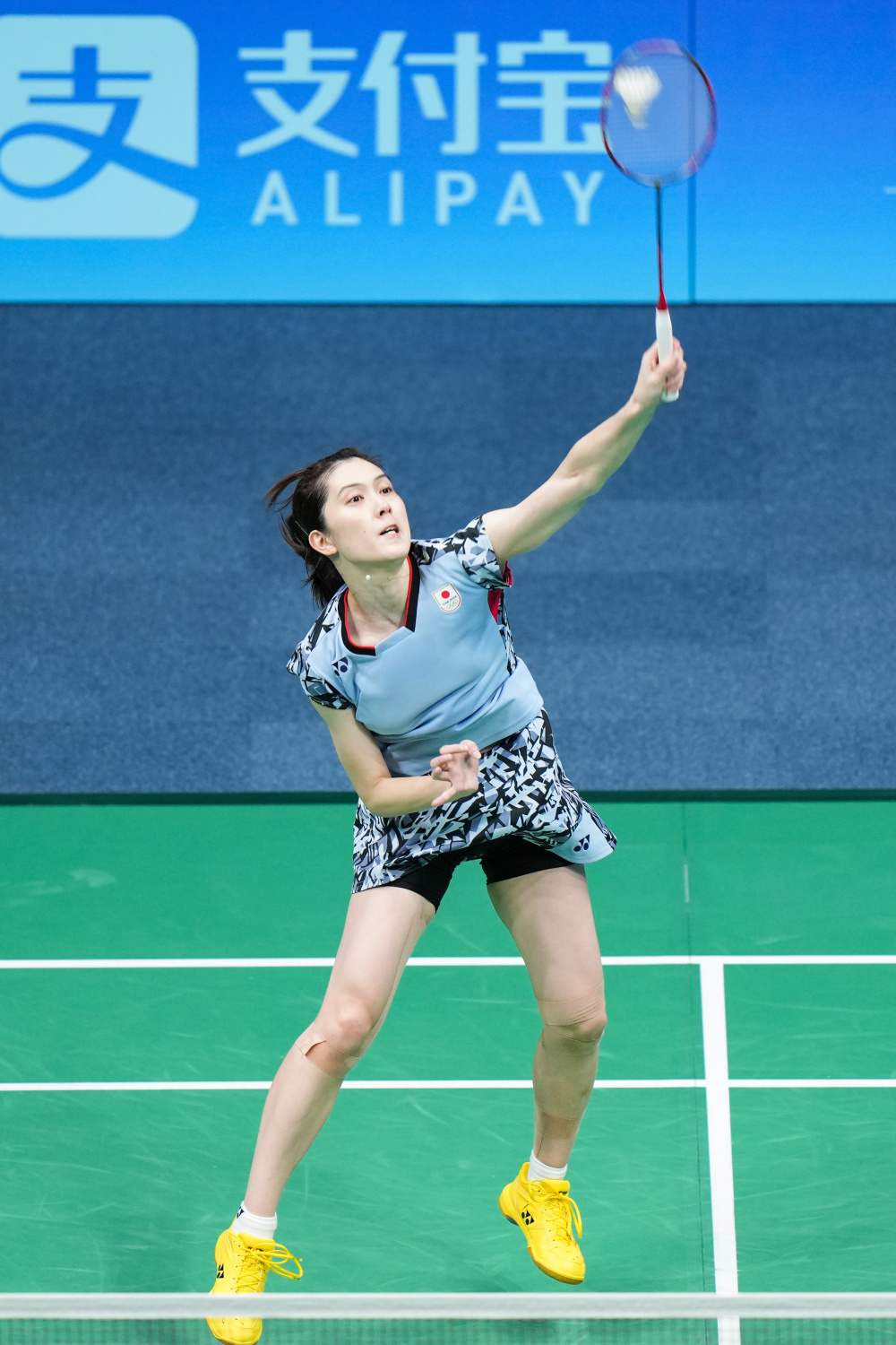 的戰績提升 的戰績提升